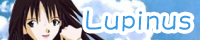 Lupinus